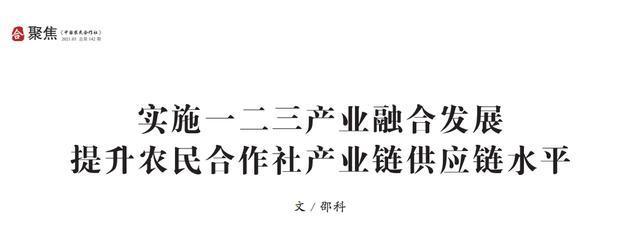 實施一二三產業融合發展 提升農民合作社產業鏈供應鏈水平——以農村民間工藝制品為例